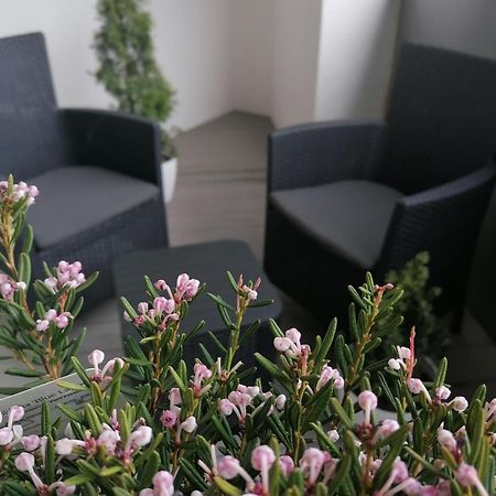 Szczecin Hanza Tower Apartment-Basen Eksteriør billede