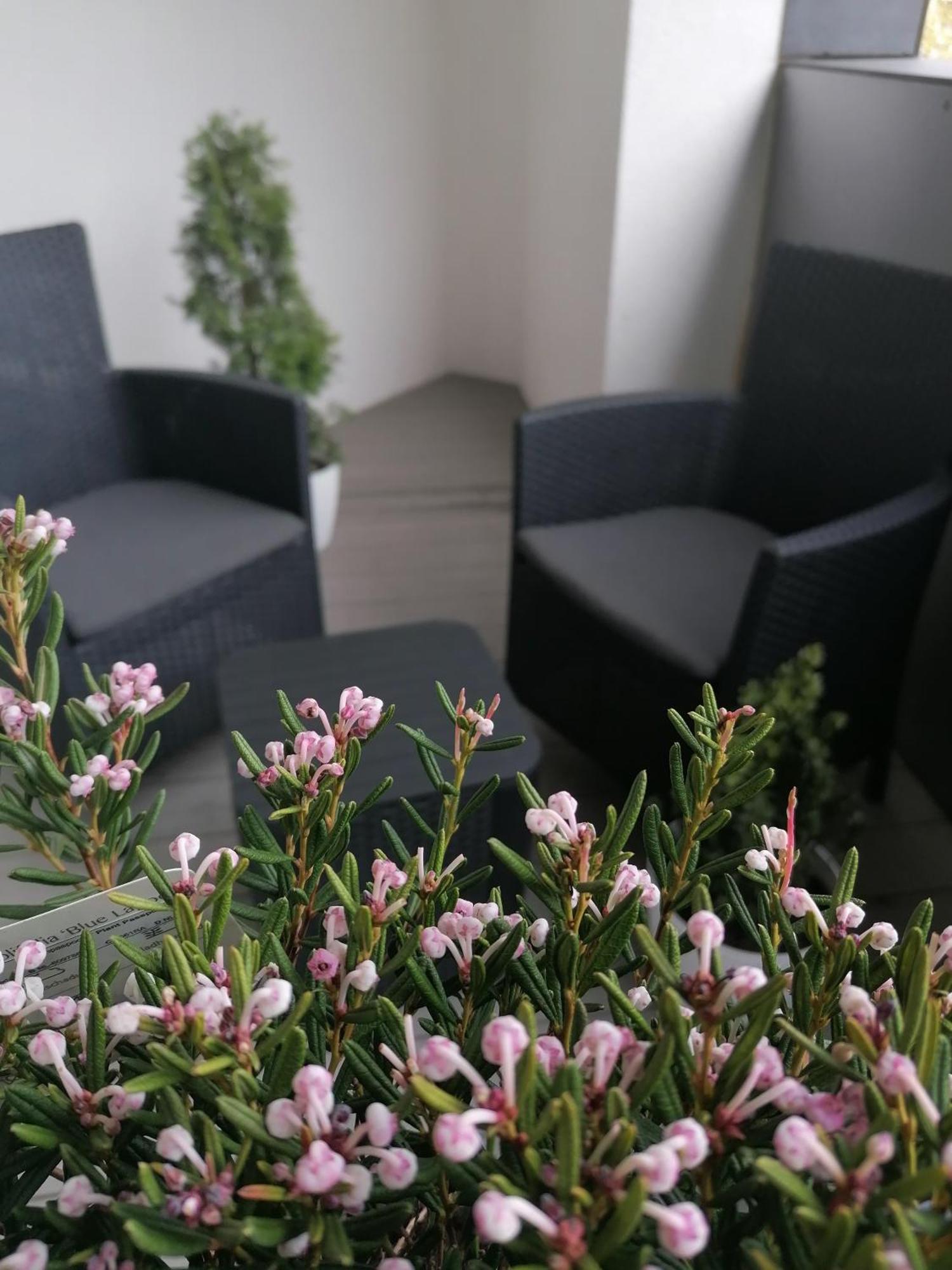 Szczecin Hanza Tower Apartment-Basen Eksteriør billede